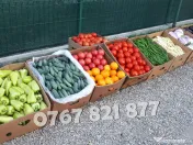 Rasaduri legume : Rasad rosii / tomate ardei castraveti vinete salata 