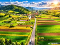 FILM! Ferma de iepuri,Malnas,Covasna: domeniu:comercial indu