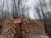 Vindem lemne pentru orice buzunar 