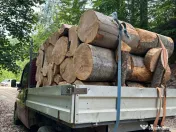 Vindem lemne pentru orice buzunar 