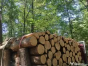 Vindem lemne pentru orice buzunar 