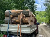 Vindem lemne pentru orice buzunar 