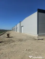 7 hale noi 2026 Afumati- Petrachioaia 