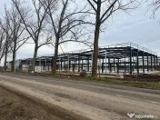 7 hale noi 2026 Afumati- Petrachioaia 