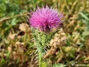 Garaj/parcare subterana Apahida 