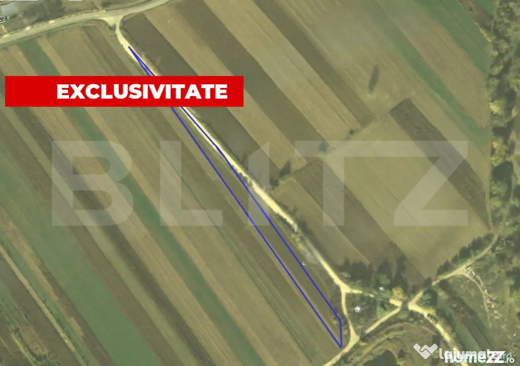Teren generos 4300 mp – Pârâul lui Mihai, ideal pentru c - Vintu De Jos (Alba)