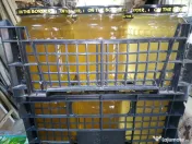 Familii de albine și roiuri de albine 