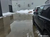 Hala lux detailing auto 595 mp Domnesti 