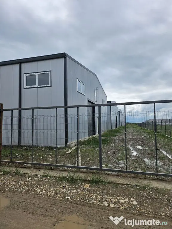 Hale noi 2026 AFUMATI ( Moara Domneasca ) 2300 Euro