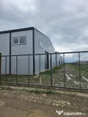 Hale noi 2026 AFUMATI ( Moara Domneasca ) 2300 Euro