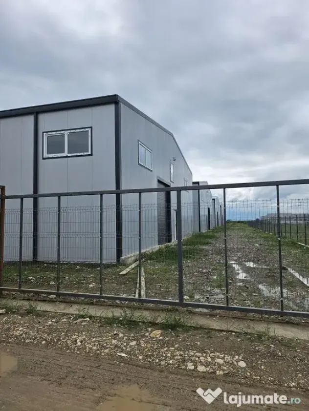 Hale noi 2026 AFUMATI ( Moara Domneasca ) 2300 Euro