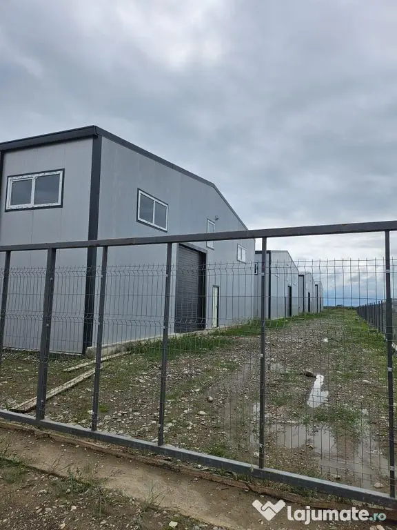 Hale noi 2026 AFUMATI ( Moara Domneasca ) 2300 Euro