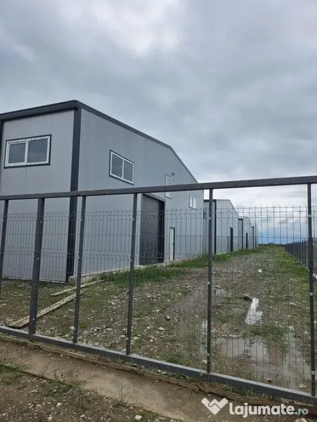 Hale noi 2026 AFUMATI ( Moara Domneasca ) 2300 Euro