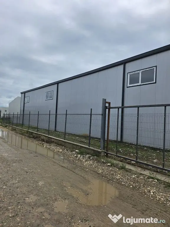 Hale noi 2026 AFUMATI ( Moara Domneasca ) 2300 Euro