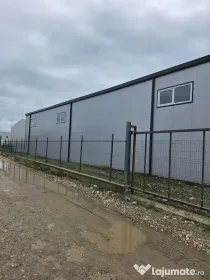 Hale noi 2026 AFUMATI ( Moara Domneasca ) 2300 Euro