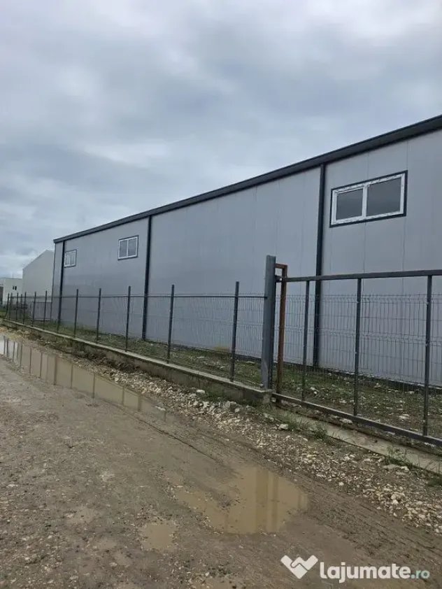Hale noi 2026 AFUMATI ( Moara Domneasca ) 2300 Euro