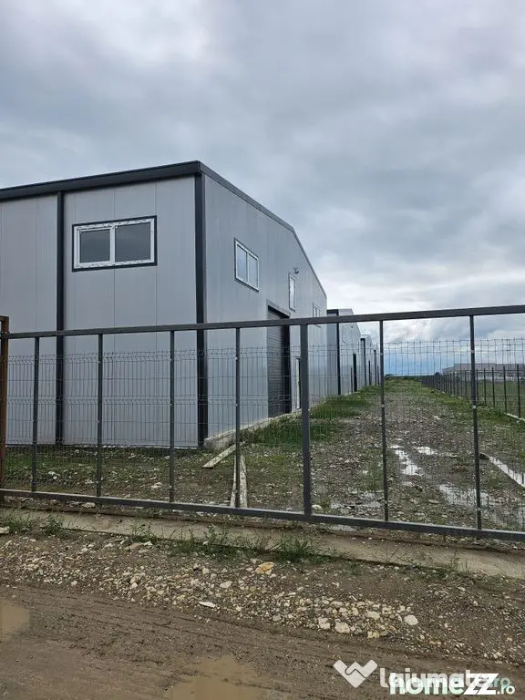 Hale noi 2026 AFUMATI ( Moara Domneasca ) 2300 Euro