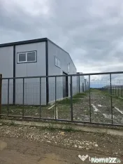 Hale noi 2026 AFUMATI ( Moara Domneasca ) 2300 Euro 