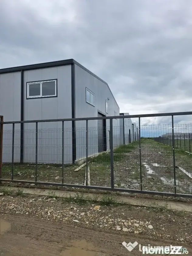 Hale noi 2026 AFUMATI ( Moara Domneasca ) 2300 Euro