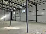 Hale noi 2026 AFUMATI ( Moara Domneasca ) 2300 Euro 