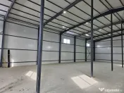 Hale noi 2026 AFUMATI ( Moara Domneasca ) 2300 Euro 