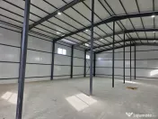 Hale noi 2026 AFUMATI ( Moara Domneasca ) 2300 Euro 