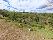 FILM! Confortabila ariere, 4.500 mp, arbori roditori, Sancra 