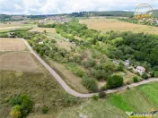 FILM! Confortabila ariere, 4.500 mp, arbori roditori, Sancra 