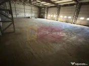 Hala Soseaua Bucuresti- Magurele- planul 2. 