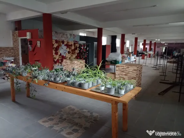 Vând sau închiriez hală Lespezi.