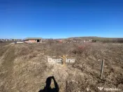 Loturi de Teren Fermelor Strada Plantelor