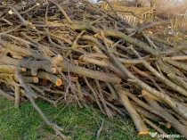 Lemne de foc, araci, prajini, popi gard si diferite materiale de constructii
