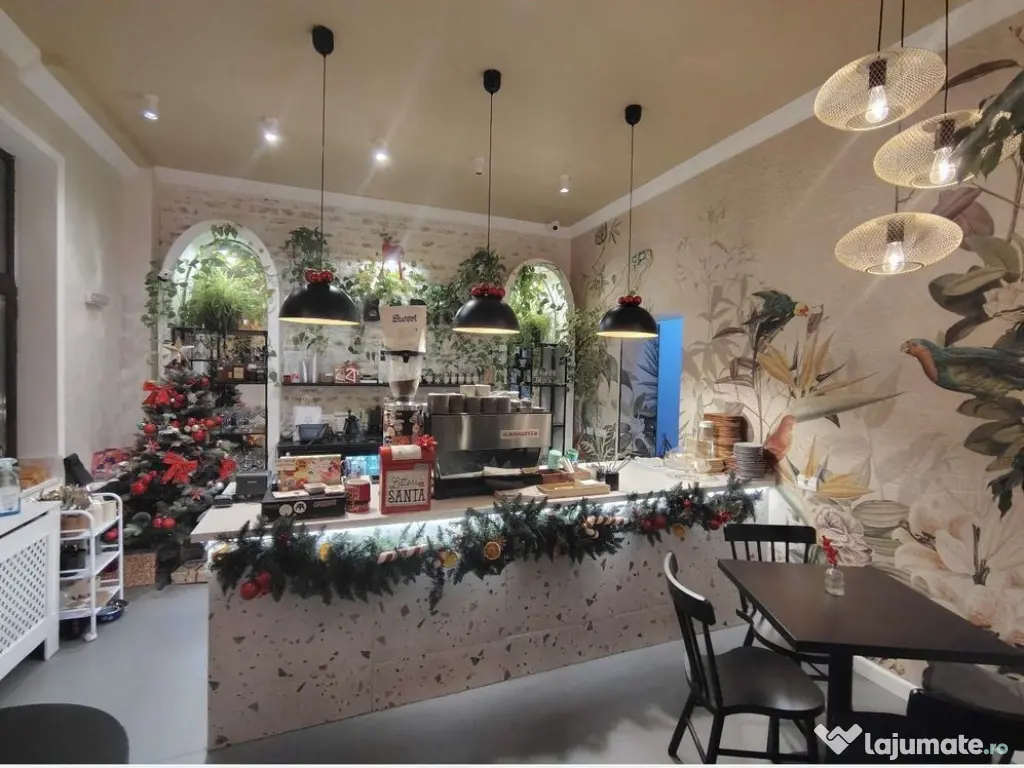 Parcul Carol, vilaD+P+1