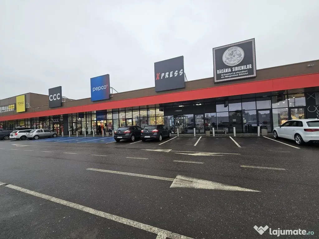 Spațiu comercial Kaufland – Shopping Park, Bd. Nicolae...