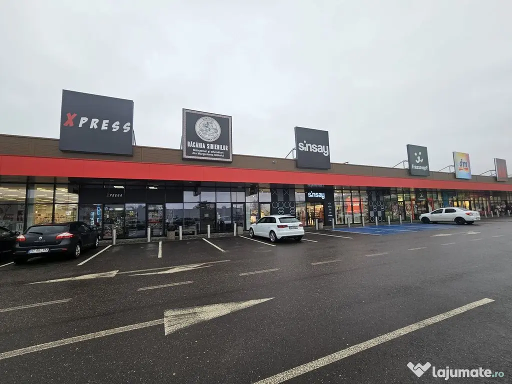 Spațiu comercial Kaufland – Shopping Park, Bd. Nicolae...