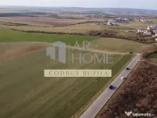 Teren intravilan 2500mp, Bucov 