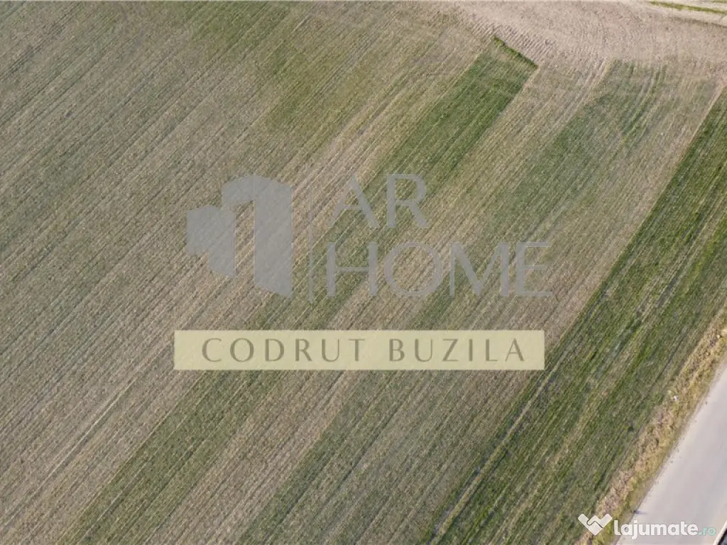 Teren intravilan 2500mp, Bucov