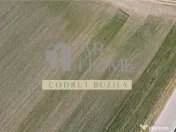 Teren intravilan 2500mp, Bucov 