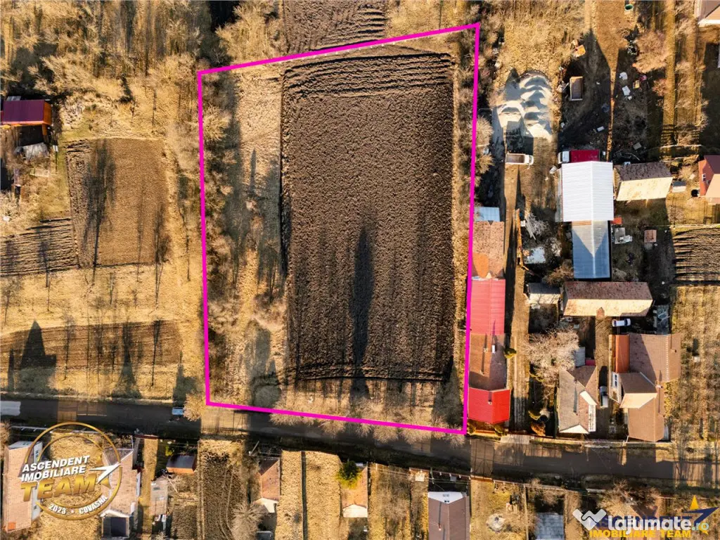 FILM! 4.554 mp intravilan, PUZ: locuinta,afacere,productie,s