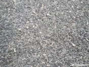 Vând floarea soarelui 2025