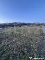 Parcele la padure in extensie intravilan , Drumul Tarpiului