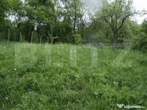 Teren de vânzare, 884 mp, zona Runcu