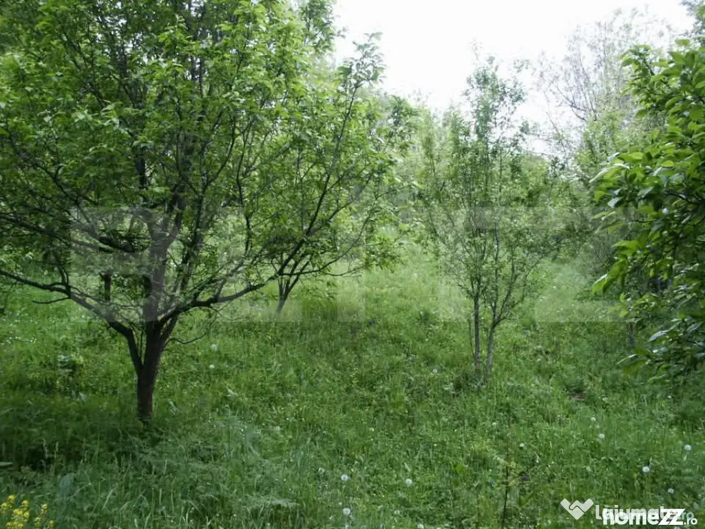 Teren de vânzare, 884 mp, zona Runcu - Fieni (Dambovita)