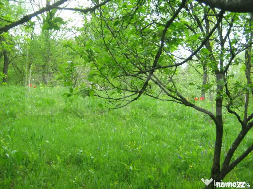 Teren de vânzare, 884 mp, zona Runcu - Fieni (Dambovita)