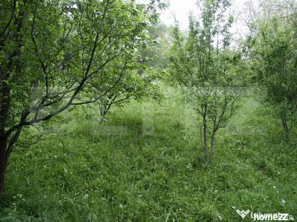 Teren de vânzare, 884 mp, zona Runcu - Fieni (Dambovita)