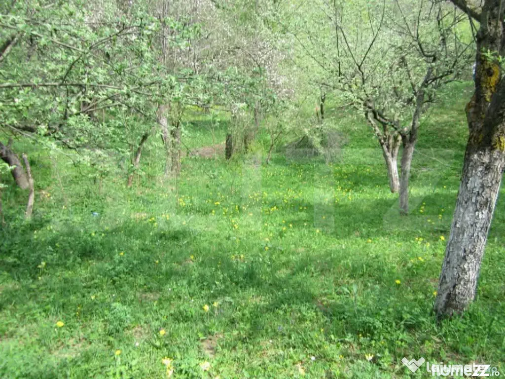 Teren de vânzare, 884 mp, zona Runcu - Fieni (Dambovita)