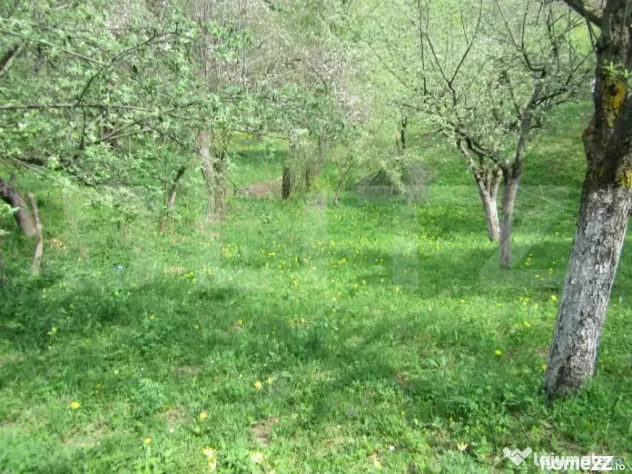 Teren de vânzare, 884 mp, zona Runcu - Fieni (Dambovita)