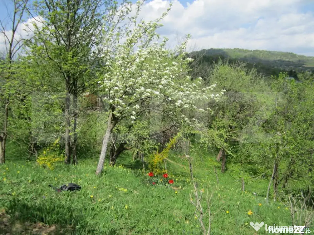 Teren de vânzare, 884 mp, zona Runcu - Fieni (Dambovita)