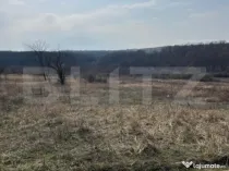 Teren intravilan de vanzare, 9783 mp, Paleu zona Iacului