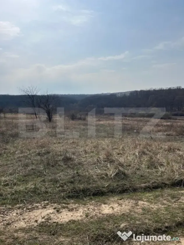 Teren intravilan de vanzare, 9783 mp, Paleu zona Iacului
